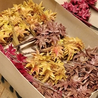 fem ahornblade gul brune plastik blade kunstige blomster online genbrugsbutik